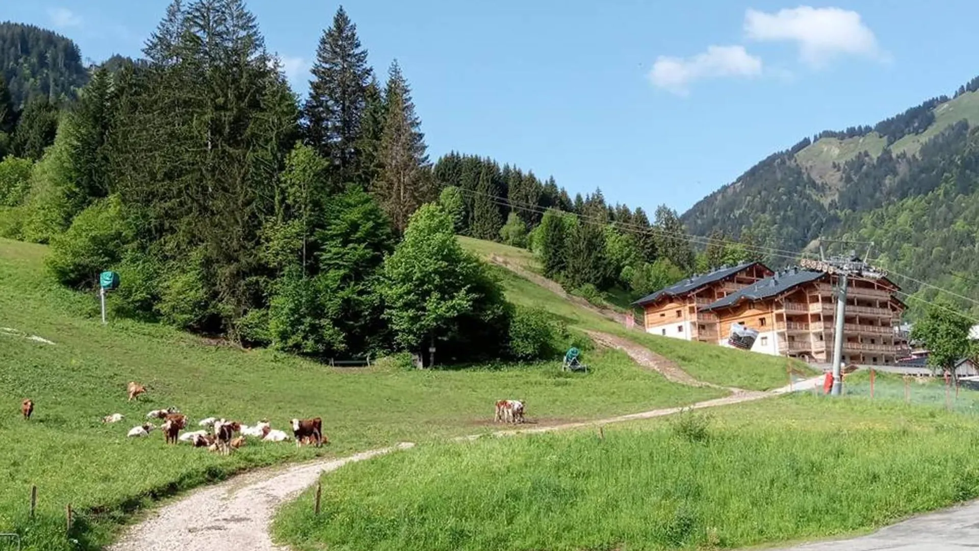 Studio Cabine Au Pied Des Pistes Avec Parking Et Wifi - Fr-1-573-124 Saint-Jean-dʼAulps
